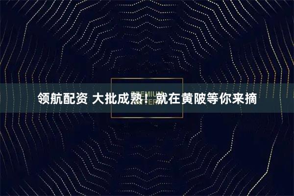 领航配资 大批成熟！就在黄陂等你来摘